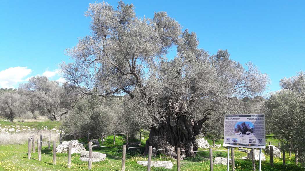 area of Messara